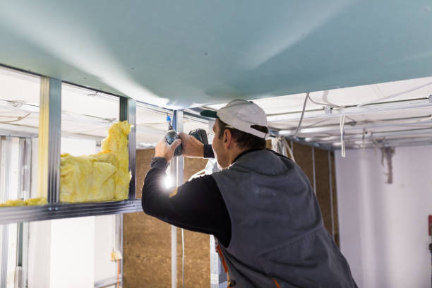 Best Insulation Maintenance and Repair in Bonadelle Ranchos, CA